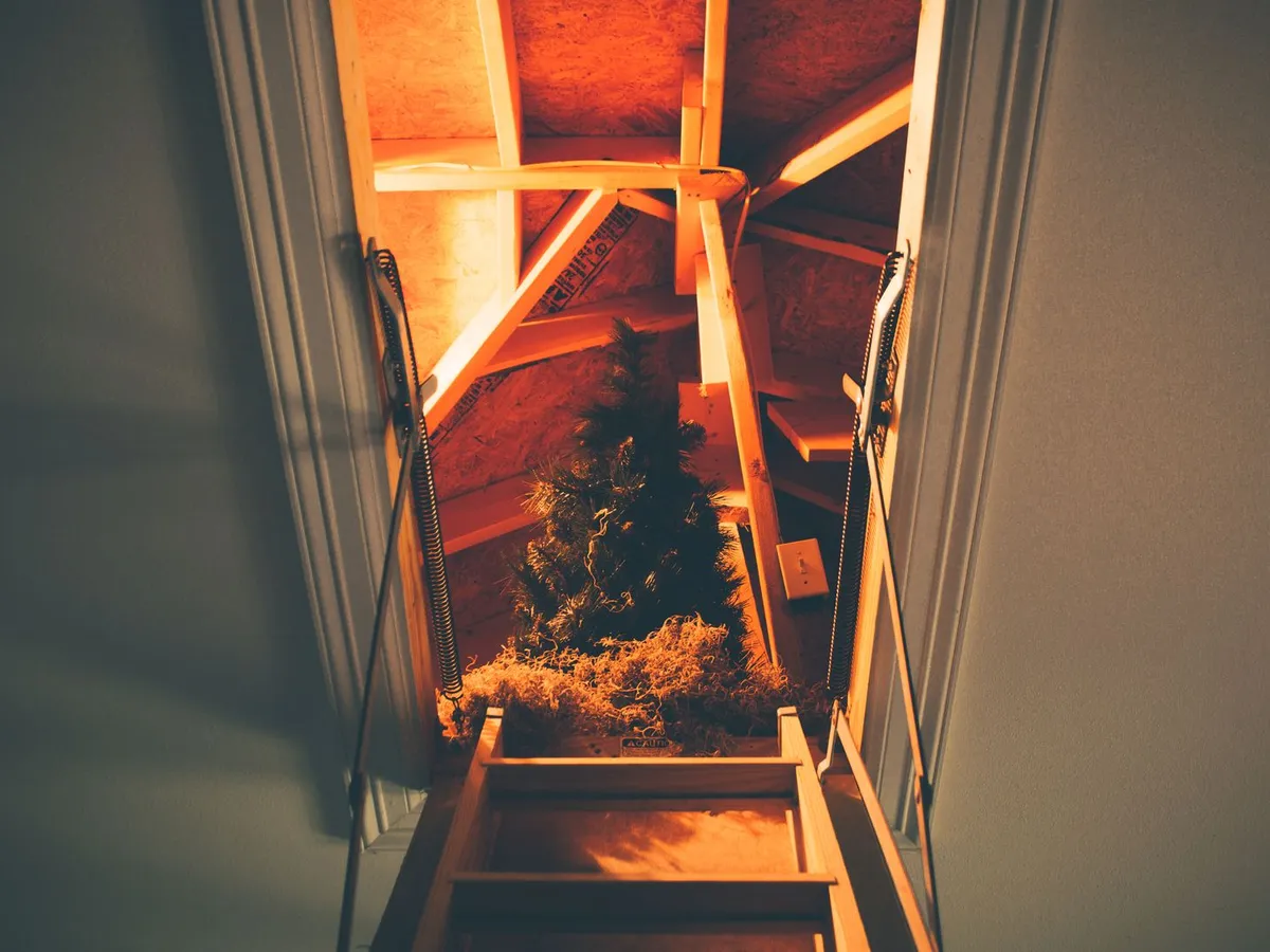 Looking up a pull-down attic ladder into an uninsulated truss attic — the starting point for most attic insulation projects