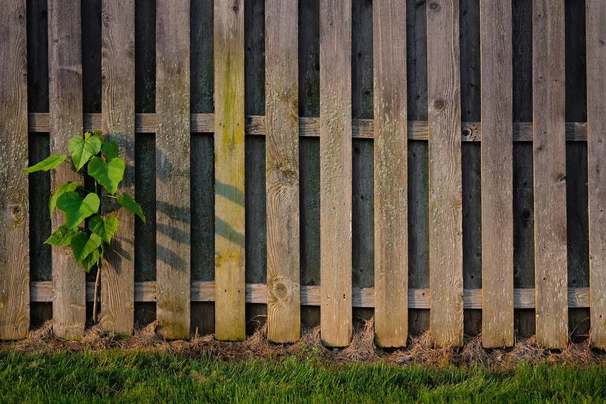A board-on-board style wood privacy fence run — fence materials are 45–60% of a typical budget, and the material class you pick (chain-link, wood, vinyl or composite) is what moves that line most.