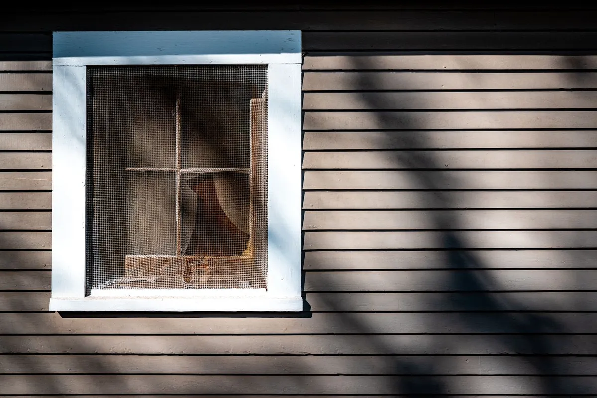 Lap siding boards and window trim in close view — trim, casing and the condition of the boards and sheathing behind them are where siding quotes differ most.